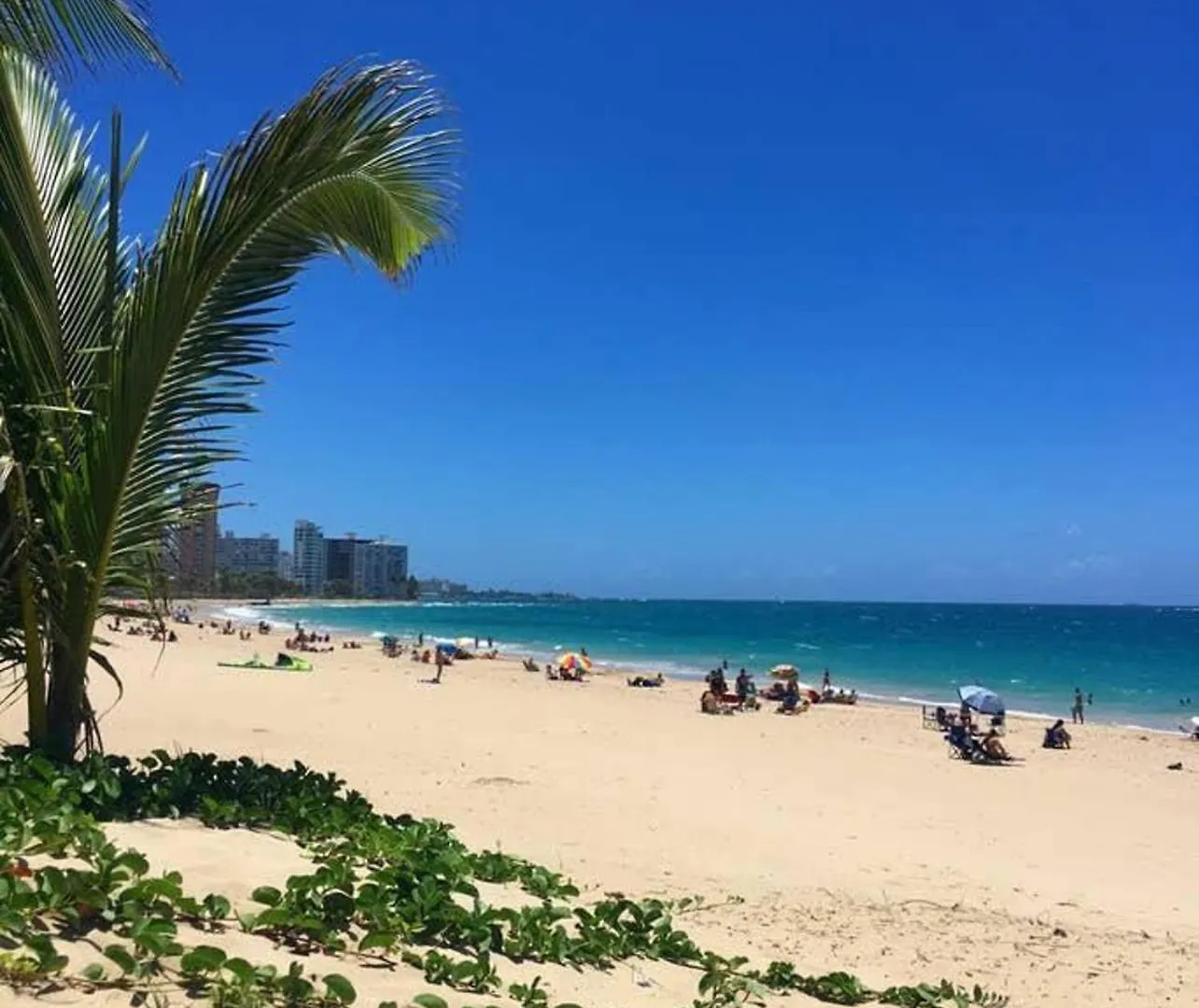 Op Pr Rentals Night Life & Beach In San Juan