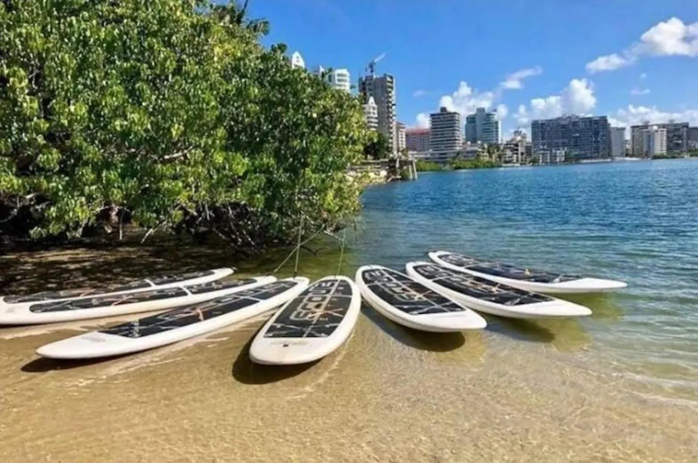 Op Pr Rentals Night Life & Beach In San Juan 0*,  Puerto Rico